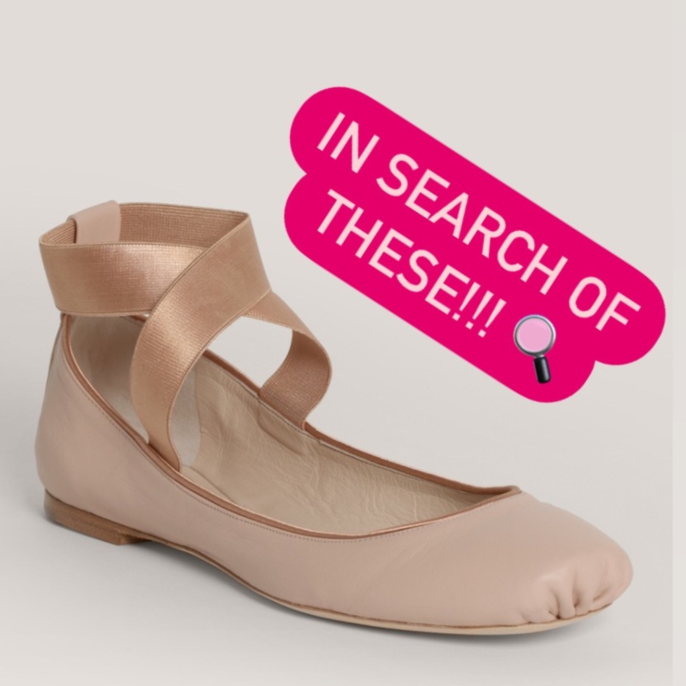 ISO Chloé Natural Strap Leather Ballerina Flats size 8.5/39